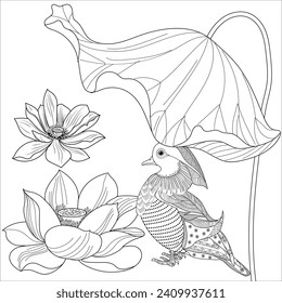Art therapy coloring page. Birds hand drawn in vintage style with flowers. Asian duck and lilies. The art of linear engraving. Bird concept. Romantic concept.
