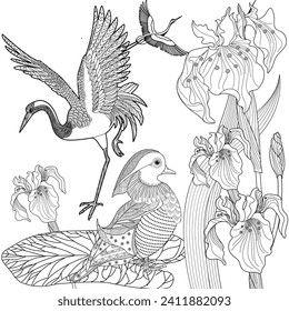 Art therapy coloring page. Birds hand drawn in vintage style with flowers. Asian duck and lilies. The art of linear engraving. Bird concept. Romantic concept.

