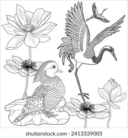 Art therapy coloring page. Birds hand drawn in vintage style with flowers. Asian duck and lilies. The art of linear engraving. Bird concept. Romantic concept.
