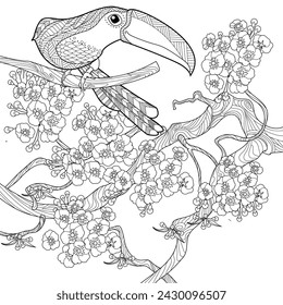 Art therapy coloring page. Birds hand drawn in vintage style with flowers. Toucan and flowers. The art of linear engraving. Romantic concept.