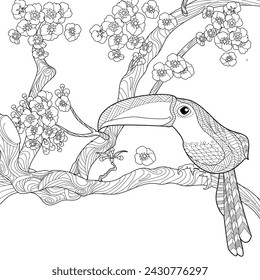 Art therapy coloring page. Birds hand drawn in vintage style with flowers. Toucan and flowers. The art of linear engraving. Romantic concept.