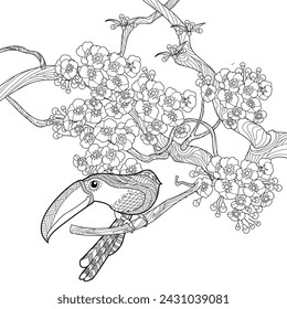 Art therapy coloring page. Birds hand drawn in vintage style with flowers. Toucan and flowers. The art of linear engraving. Romantic concept.