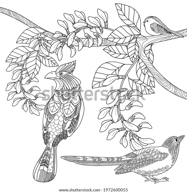 Art Therapy Coloring Page Birds Hand Stock Vector (Royalty Free ...