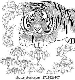 Art therapy coloring page. Coloring Book for adults. Colouring pictures with tiger. Antistress freehand sketch drawing with doodle and zentangle elements.