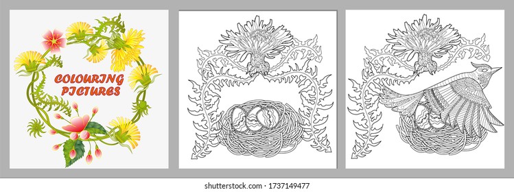 Art therapy coloring page. Coloring Book for adults and children. Colouring pictures with bird and flowers. Antistress sketch drawing with doodle and zentangle elements.