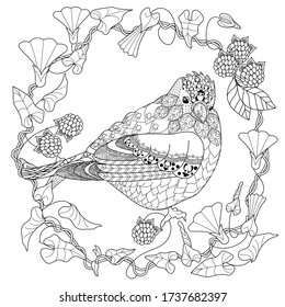 Página de coloreo de la terapia artística. Libro de Colores para adultos y niños. Coloriendo fotos con pájaro y flores. Dibujo de boceto a mano alzada antiestrés con elementos doodle y zentangle.