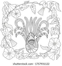 Art therapy coloring page. Coloring Book for adults and children. Colouring pictures with peacock and flowers. Antistress freehand sketch drawing with doodle and zentangle elements.