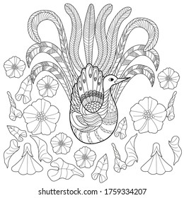 Art therapy coloring page. Coloring Book for adults and children. Colouring pictures with peacock and flowers. Antistress freehand sketch drawing with doodle and zentangle elements.