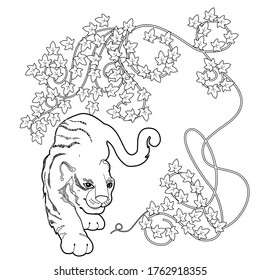 Art therapy coloring page. Coloring Book for adults and children. Colouring pictures with tiger. Antistress freehand sketch drawing with doodle and zentangle elements.