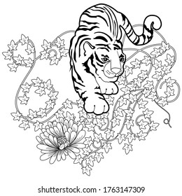 Art therapy coloring page. Coloring Book for adults and children. Colouring pictures with tiger. Antistress freehand sketch drawing with doodle and zentangle elements.