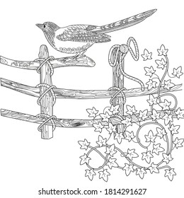 Art therapy coloring page. Coloring Book for adults and children. Colouring pictures with magpie and flowers. Linear engraved art. Bird concept. Romantic concept.