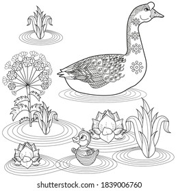 Art therapy coloring page. Coloring Book for children and adults. Colouring pictures with goose. Antistress freehand sketch drawing with doodle and zentangle elements.