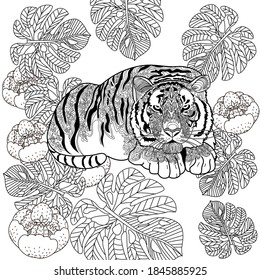 Art therapy coloring page. Coloring Book for adults and children. Colouring pictures with tiger. Antistress freehand sketch drawing with doodle and zentangle elements.