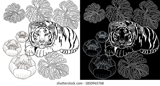 Art therapy coloring page. Coloring Book for adults and children. Colouring pictures with tiger. Antistress freehand sketch drawing with doodle and zentangle elements.