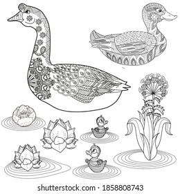 Art therapy coloring page. Coloring Book for children and adults. Colouring pictures with goose. Antistress freehand sketch drawing with doodle and zentangle elements.