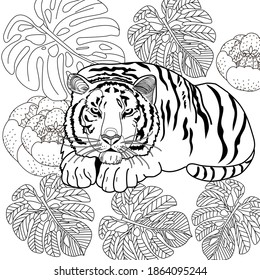 Art therapy coloring page. Coloring Book for adults and children. Colouring pictures with tiger. Antistress freehand sketch drawing with doodle and zentangle elements.
