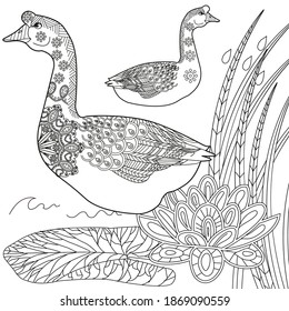 Art therapy coloring page. Coloring Book for children and adults. Colouring pictures with goose. Antistress freehand sketch drawing with doodle and zentangle elements.