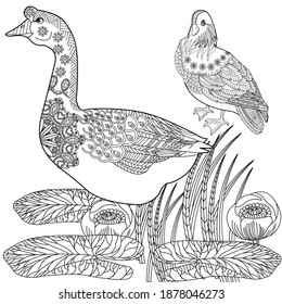 Art therapy coloring page. Coloring Book for children and adults. Colouring pictures with goose and duck. Antistress freehand sketch drawing with doodle and zentangle elements.