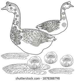 Art therapy coloring page. Coloring Book for children and adults. Colouring pictures with goose. Antistress freehand sketch drawing with doodle and zentangle elements.