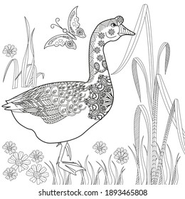 Art therapy coloring page. Coloring Book for children and adults. Colouring pictures with goose. Antistress freehand sketch drawing with doodle and zentangle elements.