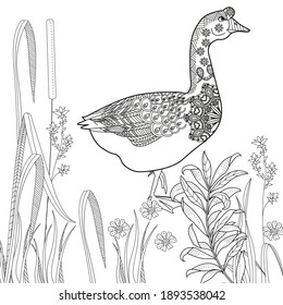 Art therapy coloring page. Coloring Book for children and adults. Colouring pictures with goose. Antistress freehand sketch drawing with doodle and zentangle elements.