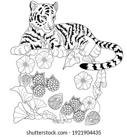 Art therapy coloring page. Coloring Book for adults and children. Colouring pictures with tiger cub. Antistress freehand sketch drawing with doodle and zentangle elements.