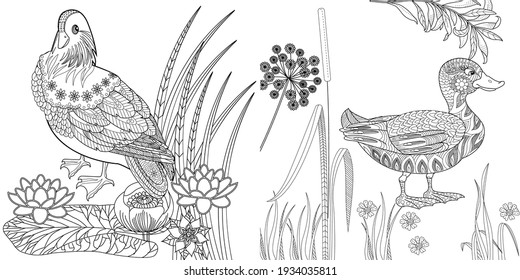 Art therapy coloring page. Coloring Book for adults. Colouring pictures with flowers and birds. Antistress freehand sketch drawing with doodle and zentangle elements.