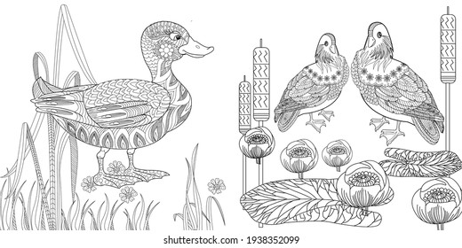 Art therapy coloring page. Coloring Book for adults. Colouring pictures with flowers and birds. Antistress freehand sketch drawing with doodle and zentangle elements.