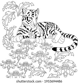 Art therapy coloring page. Coloring Book for adults and children. Colouring pictures with tiger. Antistress freehand sketch drawing with doodle and zentangle elements.