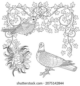 Art therapy coloring page. Coloring Book for adults. Colouring pictures with flowers and birds. Antistress freehand sketch drawing with doodle and zentangle elements.