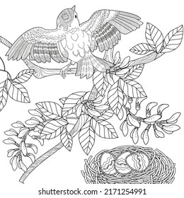 Art therapy coloring page. Coloring book antistress for children and adults. Birds and flowers hand drawn in vintage style. The art of linear engraving. 