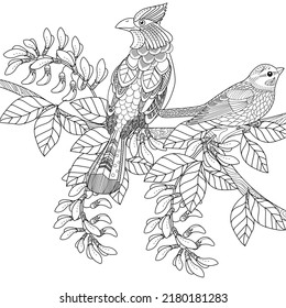 Art therapy coloring page. Coloring book antistress for children and adults. Birds and flowers hand drawn in vintage style . The art of linear engraving. 