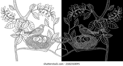 Art therapy coloring page. Coloring book antistress for children and adults. Birds and flowers hand drawn in vintage style . The art of linear engraving. 