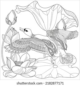 Art therapy coloring page. Coloring Book for adults and children. Colouring pictures with duck. Linear engraved art. Antistress freehand sketch drawing.