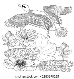 Art therapy coloring page. Coloring Book for adults and children. Colouring pictures with duck. Linear engraved art. Antistress freehand sketch drawing.