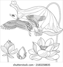 Art therapy coloring page. Coloring Book for adults and children. Colouring pictures with duck. Linear engraved art. Antistress freehand sketch drawing.