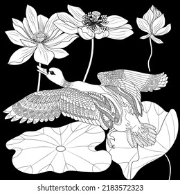 Art therapy coloring page. Coloring Book for adults and children. Colouring pictures with duck. Linear engraved art. Antistress freehand sketch drawing.
