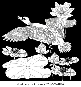 Art therapy coloring page. Coloring Book for adults and children. Colouring pictures with duck. Linear engraved art. Antistress freehand sketch drawing.
