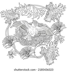 Art therapy coloring page. Coloring book antistress for children and adults. Birds and flowers hand drawn in vintage style . The art of linear engraving. 