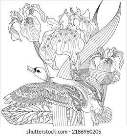 Art therapy coloring page. Coloring Book for adults and children. Colouring pictures with duck. Linear engraved art. Antistress freehand sketch drawing.
