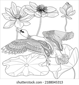 Art therapy coloring page. Coloring Book for adults and children. Colouring pictures with duck. Linear engraved art. Antistress freehand sketch drawing.
