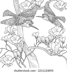 Art therapy coloring page. Coloring book antistress for children and adults. Birds and flowers hand drawn in vintage style . Ideal for those who want to feel more connected to nature.
