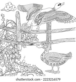 Art therapy coloring page. Coloring Book for adults and children. Colouring pictures with duck. Linear engraved art. Antistress freehand sketch drawing.
