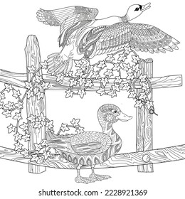 Art therapy coloring page. Coloring Book for adults and children. Colouring pictures with duck. Linear engraved art. Antistress freehand sketch drawing.
