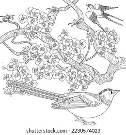 Art therapy coloring page. Coloring book antistress for children and adults. Birds and flowers hand drawn in vintage style . Ideal for those who want to feel more connected to nature.