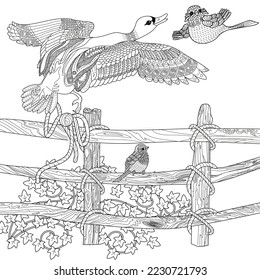 Art therapy coloring page. Coloring Book for adults and children. Colouring pictures with duck. Linear engraved art. Antistress freehand sketch drawing.
