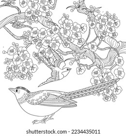 Art therapy coloring page. Coloring book antistress for children and adults. Birds and flowers hand drawn in vintage style . Ideal for those who want to feel more connected to nature.
