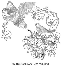 Art therapy coloring page. Coloring book antistress for children and adults. Birds and flowers hand drawn in vintage style . Ideal for those who want to feel more connected to nature