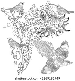 Art therapy coloring page. Coloring book antistress for children and adults. Birds and flowers hand drawn in vintage style . Ideal for those who want to feel more connected to nature.