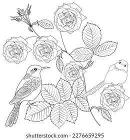 Art therapy coloring page. Coloring book antistress for children and adults. Birds and flowers hand drawn in vintage style . Ideal for those who want to feel more connected to nature.